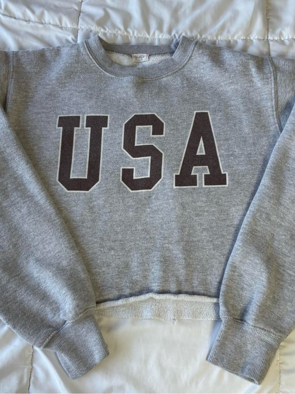 Brandy Melville Gray Crewneck Sweatshirt with USA Lettering